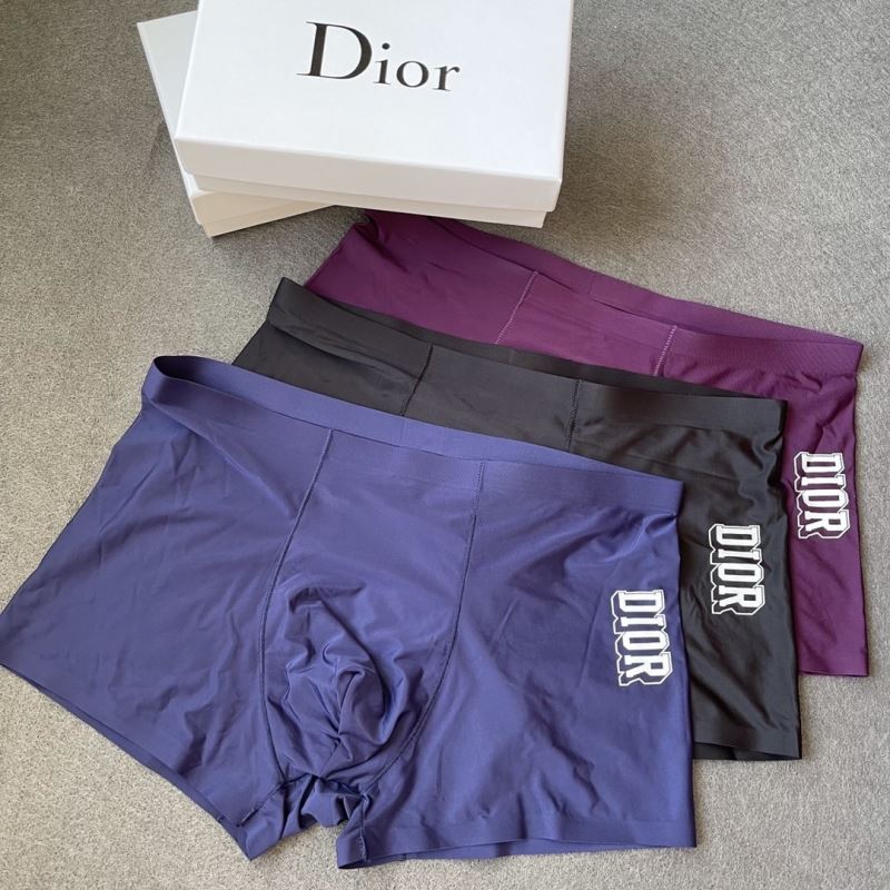 Dior Panties